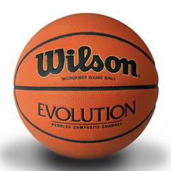 Wilson Evolution Intermediate Basketball - Click Image to Close