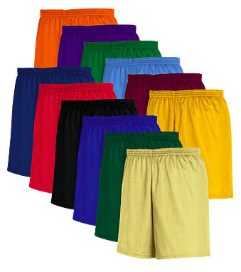 High 5 Sportswear Mini Mesh Long Basketball Shorts