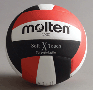 Molten Competition Leather Soft Touch Volleyball