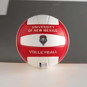 Molten University of New Mexico Camp Volleyball