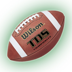 Wilson TDS Composite Football Official Size