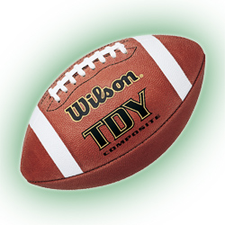 Wilson TDY Composite Football Youth 11-14